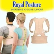 Royal Posture Back Support Belt